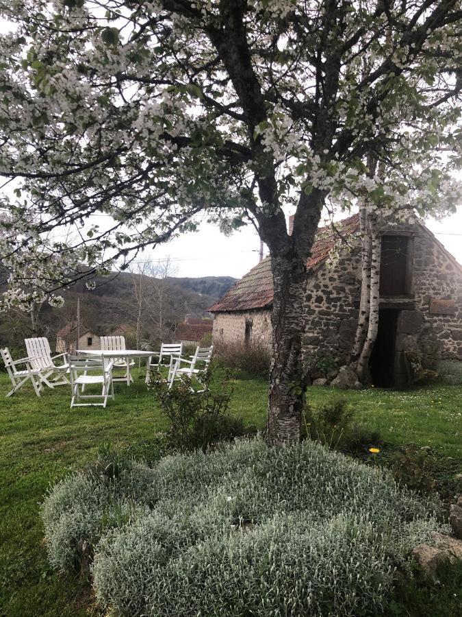Maison D'Hotes Ourdeaux Et Gite Chez Rouchon Alleyrat  Dış mekan fotoğraf